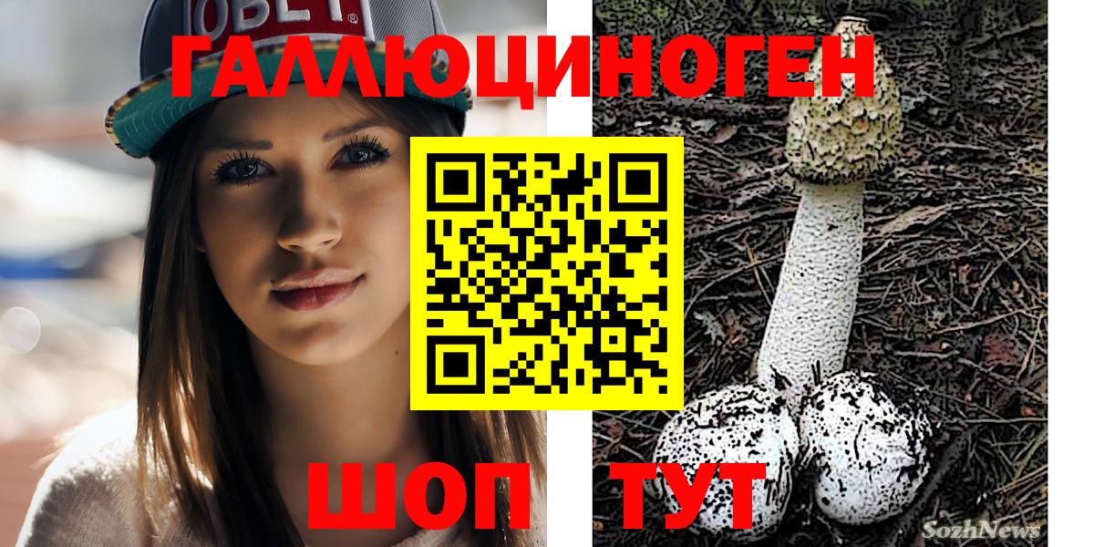 Ипатово  Галлюциногенные грибы мухоморы  Вход с VPN 
